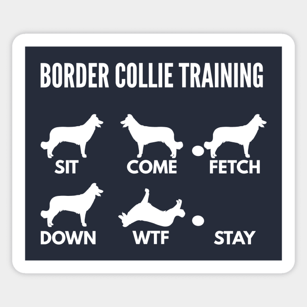 Border Collie Training Boxer Dog Tricks Sticker by DoggyStyles